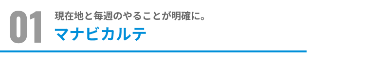 マナビカルテ
