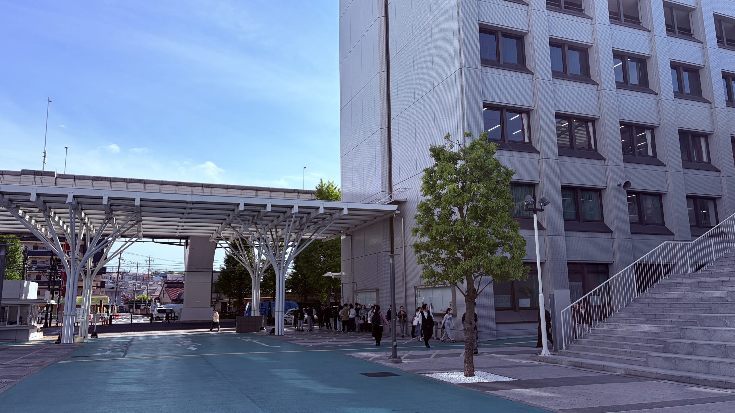 大東文化大学 社会学部 キャンパスの道